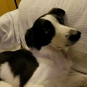 Meet your Posher, Ana